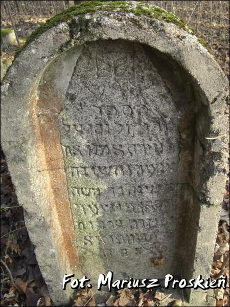 Домброва-Белостоцка. Кладбище еврейское