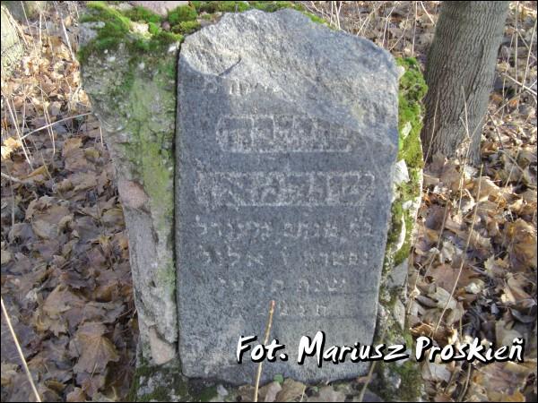 Домброва-Белостоцка. Кладбище еврейское