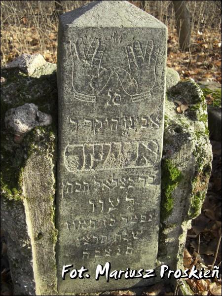 Домброва-Белостоцка. Кладбище еврейское