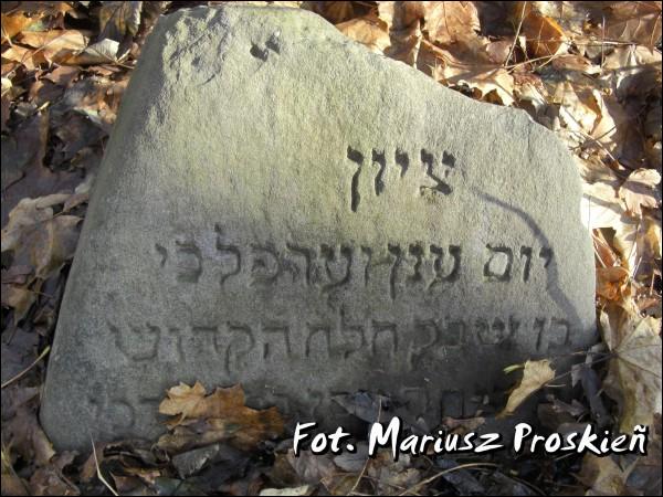 Домброва-Белостоцка. Кладбище еврейское