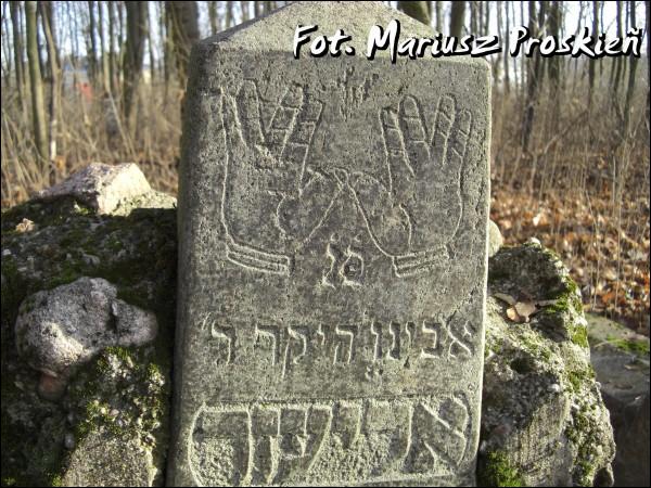 Dąbrowa Białostocka. Cmentarz żydowski