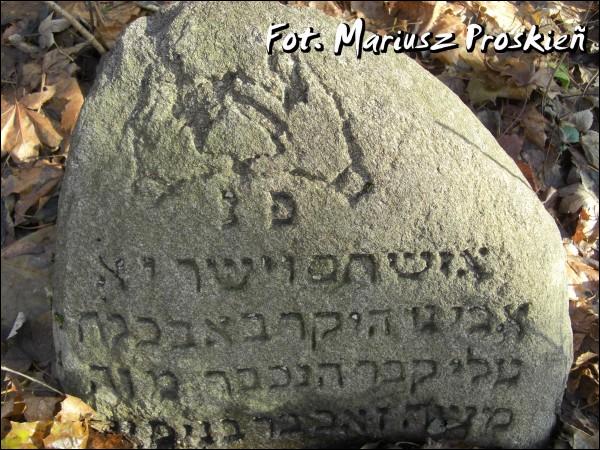 Домброва-Белостоцка. Кладбище еврейское