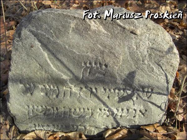 Домброва-Белостоцка. Кладбище еврейское