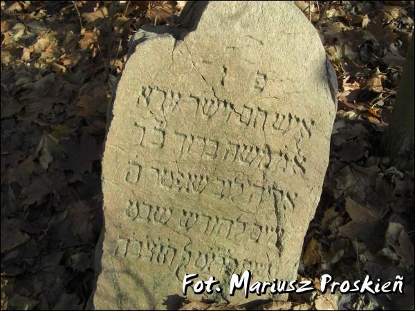 Домброва-Белостоцка. Кладбище еврейское