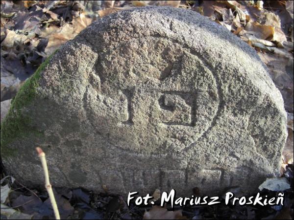 Домброва-Белостоцка. Кладбище еврейское