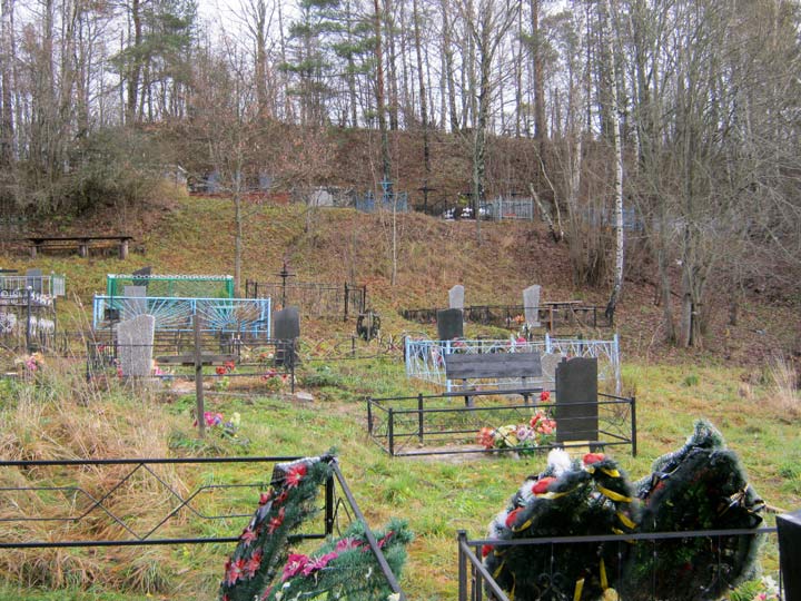 Новое Городище. Городище 