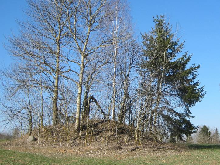 Новое Городище. Городище 