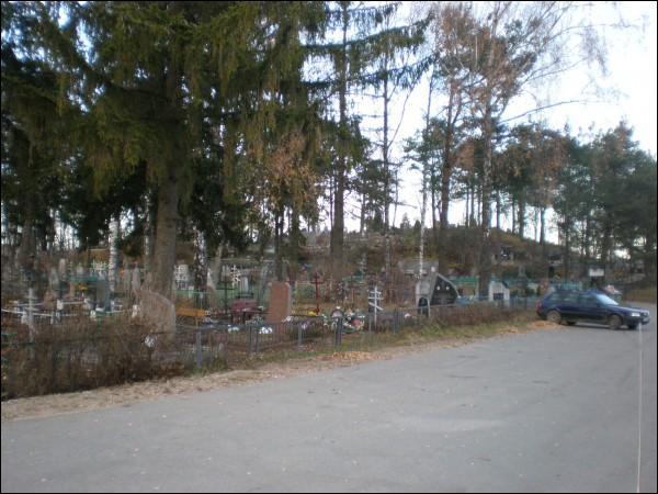  ().    