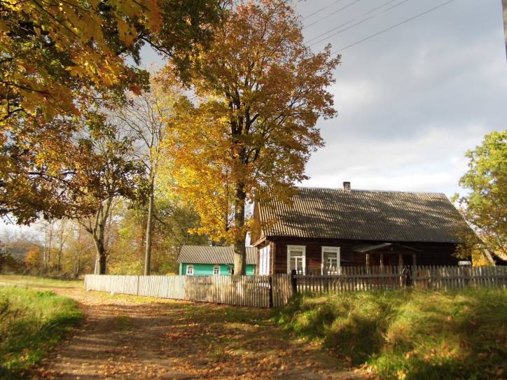 Zieniavičy. Landscapes 