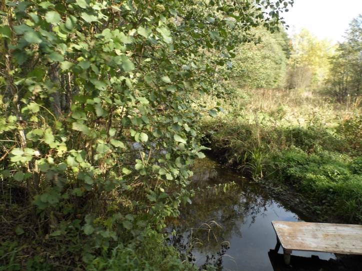 Zieniavičy. Landscapes 