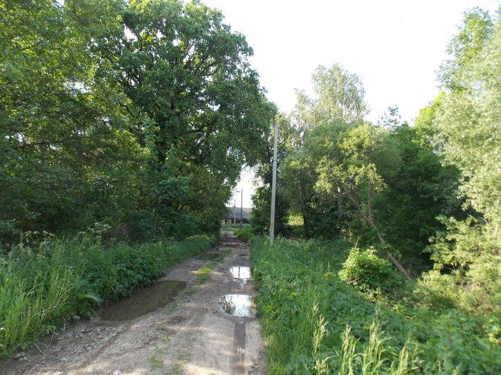 Zieniavičy. Landscapes 