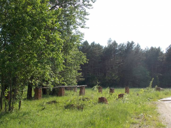 Zieniavičy. Landscapes 