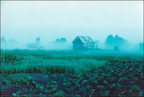  - Landscapes . Early morning in the village