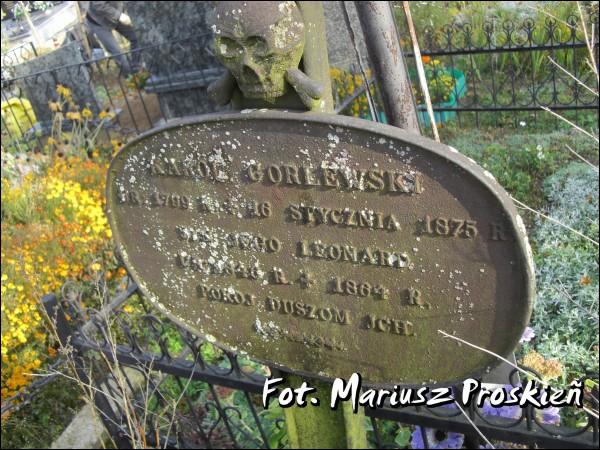 Dąbrowa Białostocka. Cmentarz stary katolicki