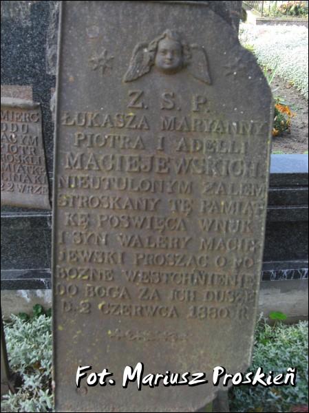 Dąbrowa Białostocka. Cmentarz stary katolicki