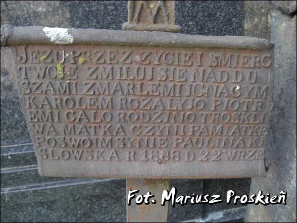 Dąbrowa Białostocka. Cmentarz stary katolicki