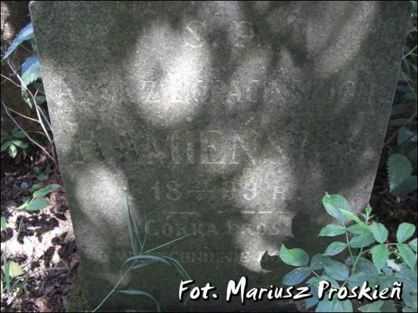  - cemetery Old Catholic. 