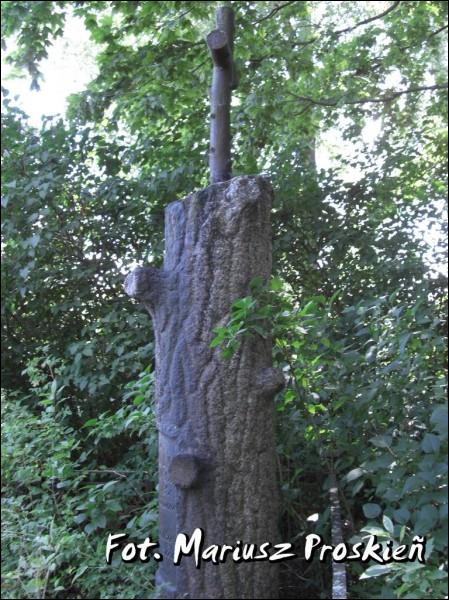 - cemetery Old Catholic. 