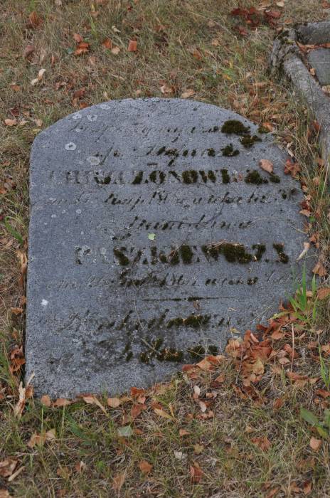  - cemetery Old Catholic. 