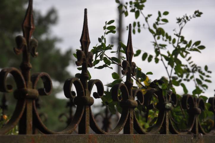  - cemetery Old Catholic. 