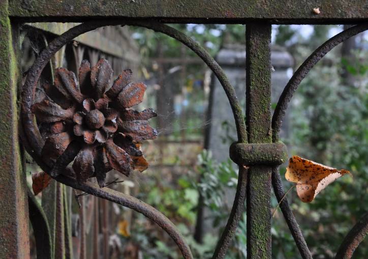  - cemetery Old Catholic. 