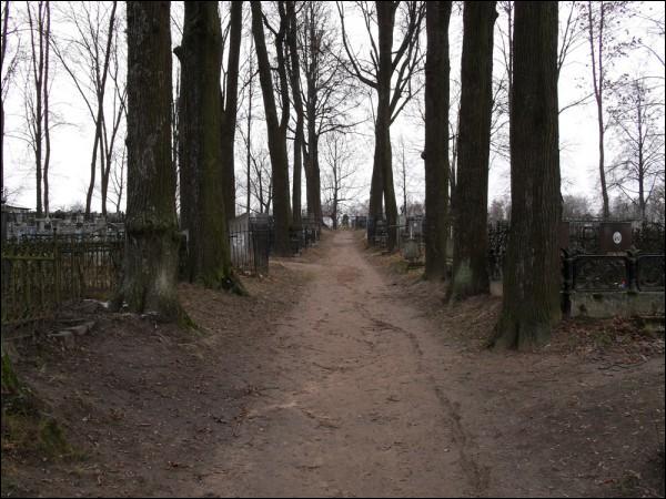 Віцебск. Могілкі лютэранскія