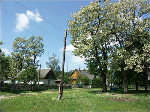 Karpin. Landscapes 