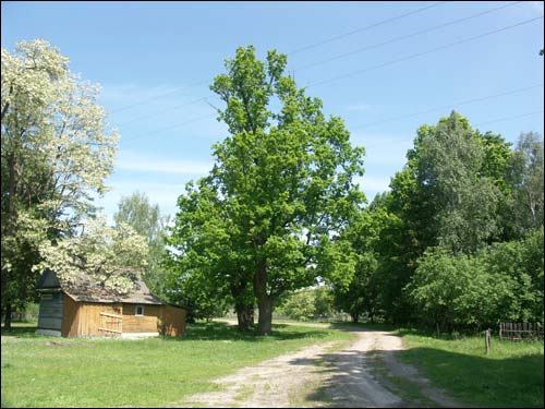 Karpin. Landscapes 