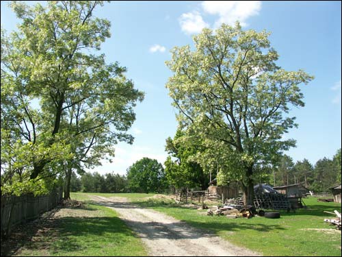Karpin. Landscapes 