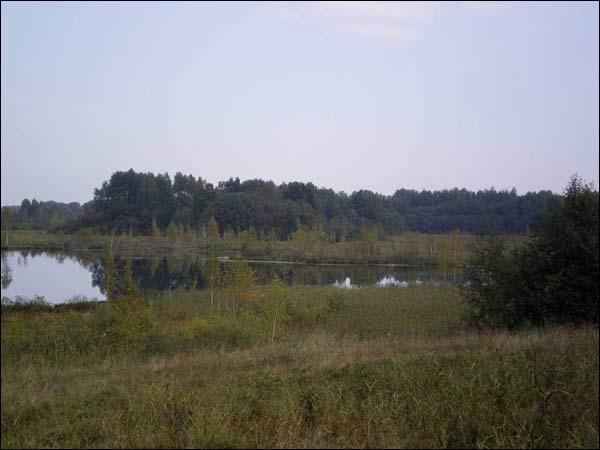 Kubličy. Site of ancient settlement 