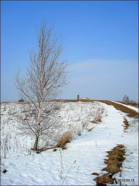  -  Struve Geodetic Arc, station point. Station point of the Struve Geodetic Arc near Meškonys village