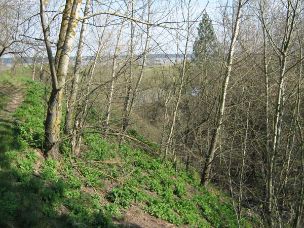  - Site of ancient castle . Slope of castle ground
