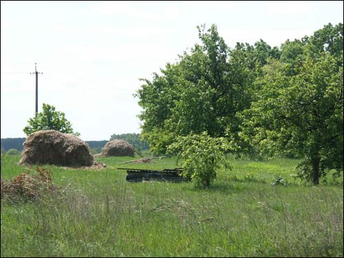 Орехово. Пейзажи 