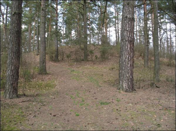 Wilejka. Grodzisko 