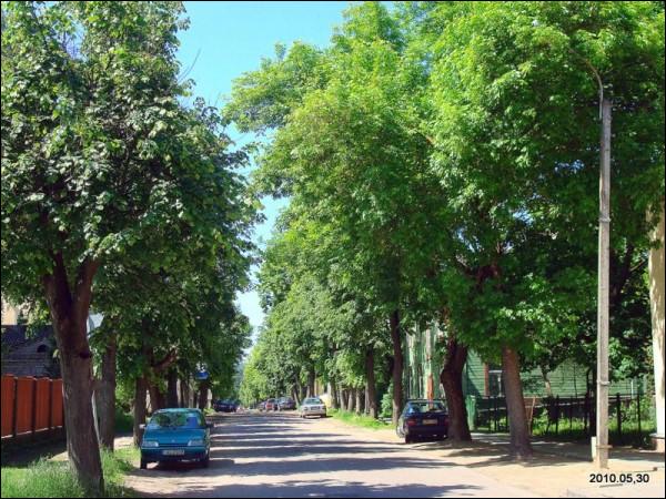 Wilno. Dzielnica Zwierzyniec