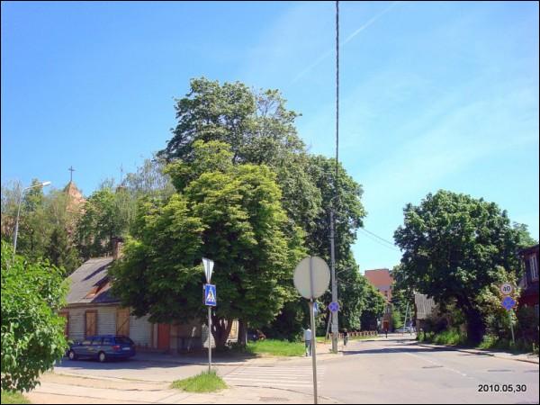Wilno. Dzielnica Zwierzyniec
