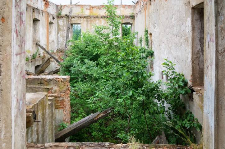  - Water-mill . 