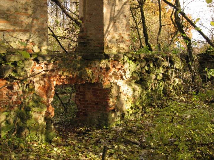 Żukiewicze. Dwór (ruiny)