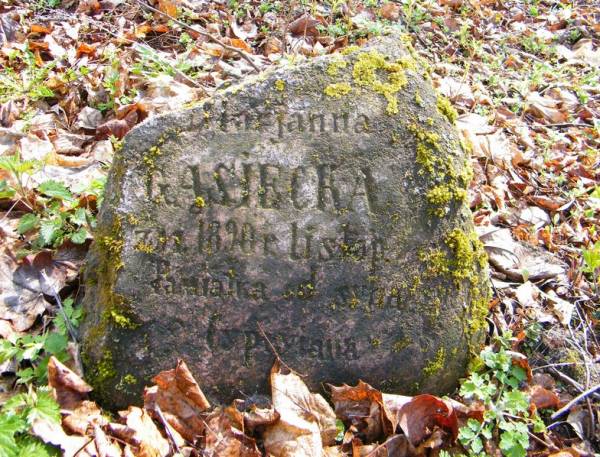 Tokarzyszki. Cmentarz stary