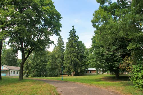 Planta. Manor park 