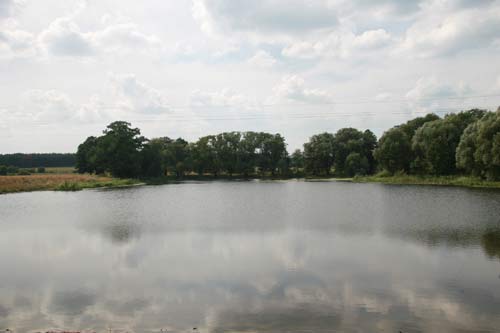 Planta. Manor park 