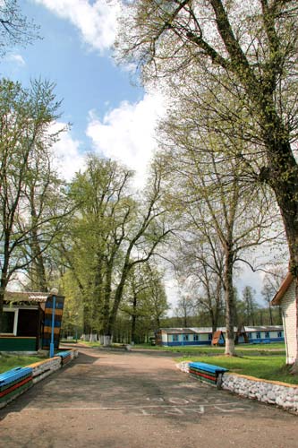 Planta. Manor park 