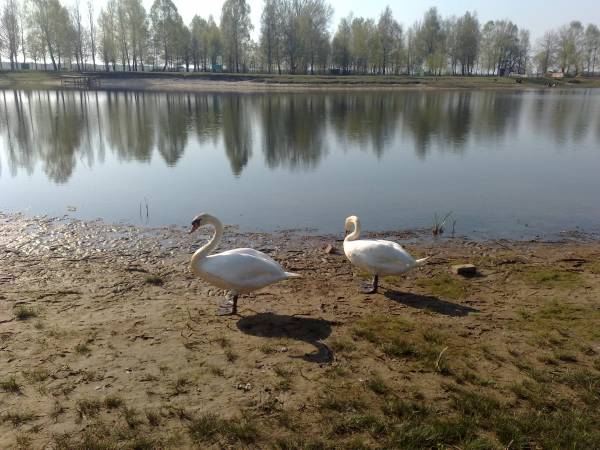 Małaryta. Landscapes 