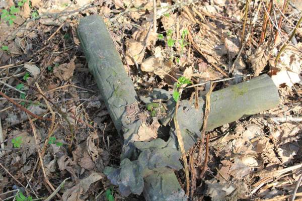 Starasielle. cemetery Old catholic