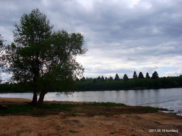 Kalektyŭnaja (Mumina). Landscapes 