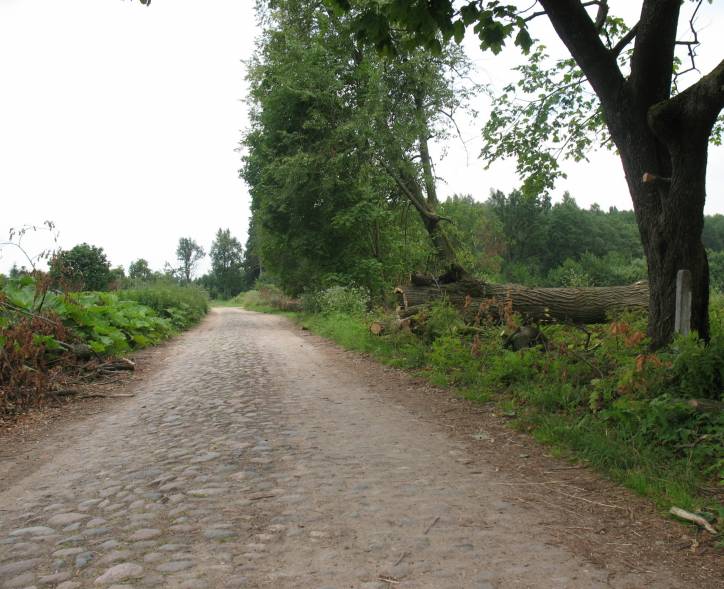  - Dwór . 