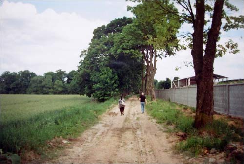 Зеновиль (Лежайка). Приусадебный парк при бывшей усадьбе Вислоухов