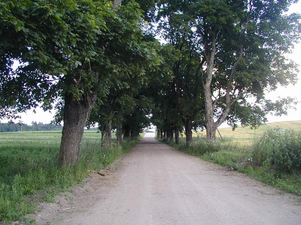 Ramaniški. Manor of Dowgiałło
