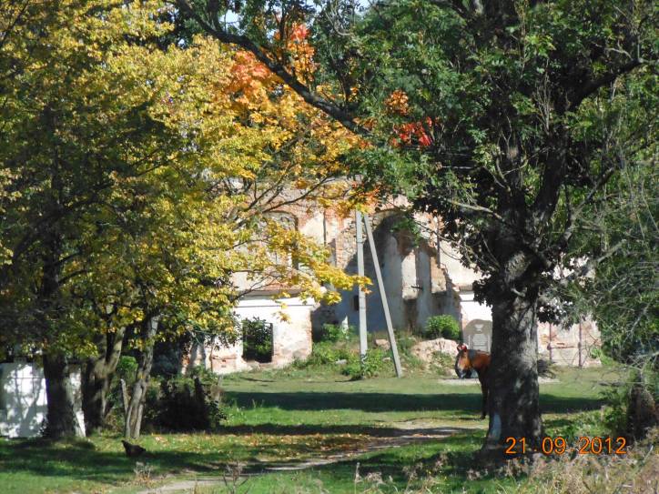  - Synagogue . 