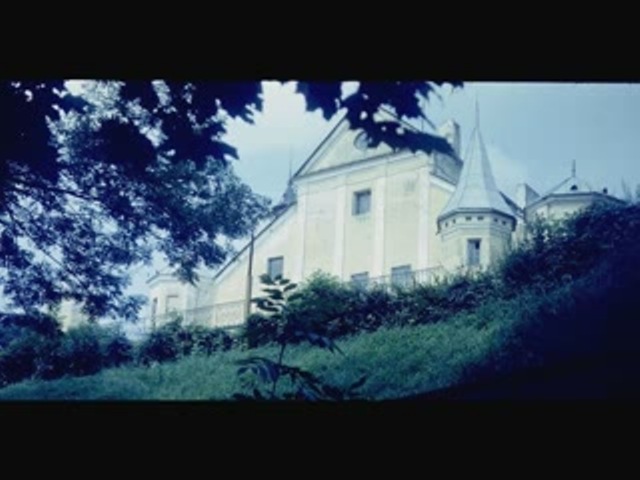  - Radziwill castle. Old photos. 